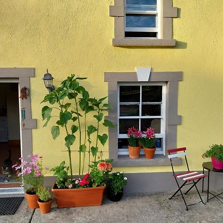 Felicity Cottage Kiltegan Exterior foto